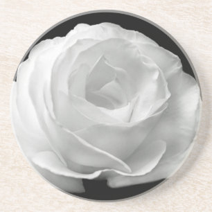 Dessous De Verre En Grès Le rose blanc fleurit art d'amour de paix de