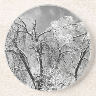 Dessous De Verre En Grès les arbres portent l'hiver