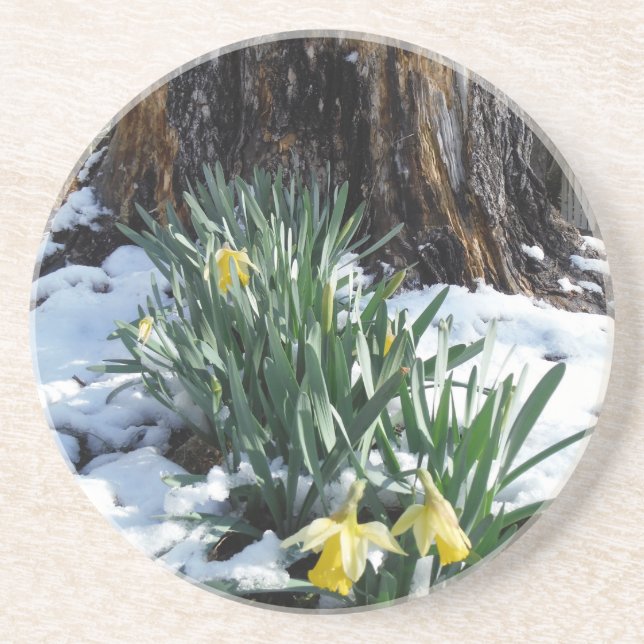 Dessous De Verre En Grès Les jonquilles jaunes dans la neige (Devant)