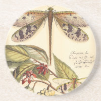 Les libellules aux Feuilles et aux fruits