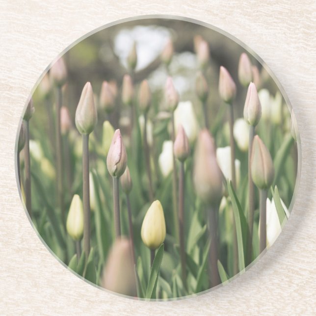 Dessous De Verre En Grès Les tulipes commencent à fleurir (Devant)