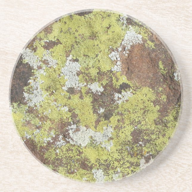 Dessous De Verre En Grès Lichen jaune et blanc sur le grès Camo naturel (Devant)