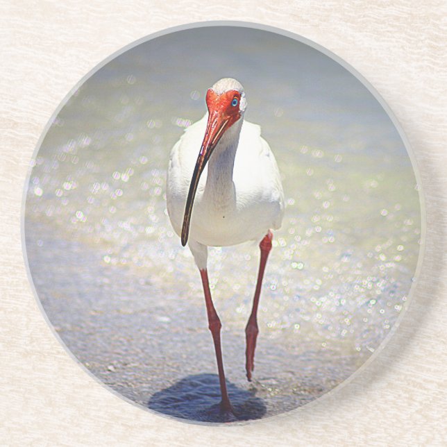 Dessous De Verre En Grès Ligne Ibis blanche (Devant)