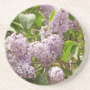 Dessous De Verre En Grès Lilac Bush Belles fleurs de printemps violettes