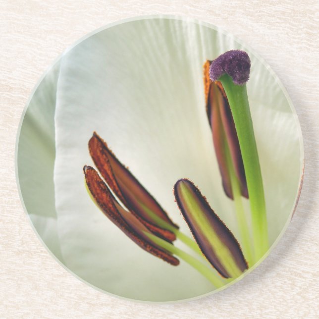 Dessous De Verre En Grès Lilium Oriental Blanc (Devant)