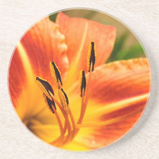 Dessous De Verre En Grès Lily de tigre orange (Devant)