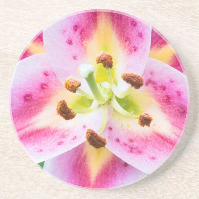 Dessous De Verre En Grès Lily en gros plan (Devant)