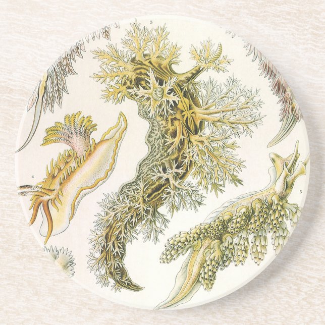 Dessous De Verre En Grès Limaces de mer, escargots par Ernst Haeckel, Anima (Devant)