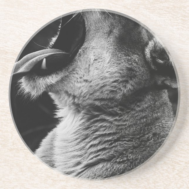 Dessous De Verre En Grès lion (Devant)