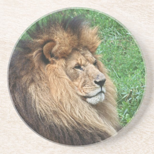 Dessous De Verre En Grès Lion 001 (Devant)
