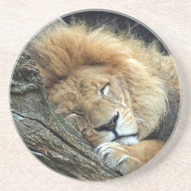 Dessous De Verre En Grès Lion 036 (Devant)