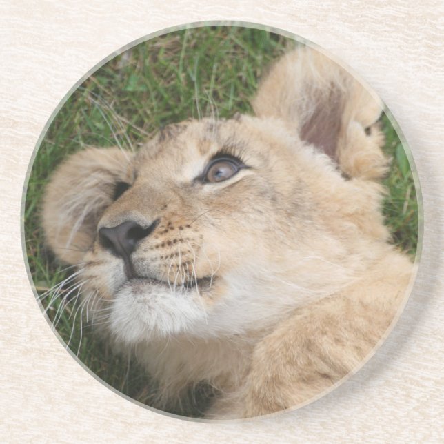 Dessous De Verre En Grès Lion 22 (Devant)