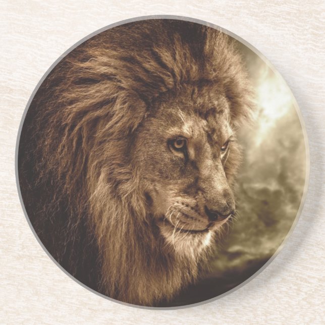 Dessous De Verre En Grès Lion contre le ciel orageux (Devant)