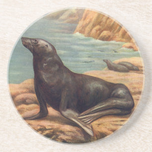 Dessous De Verre En Grès Lion de mer au bord de la mer, mammifères marins v