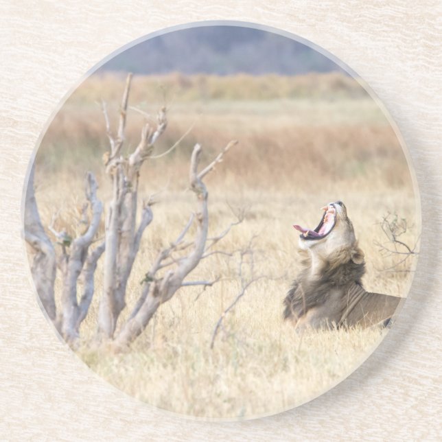 Dessous De Verre En Grès Lion de Yawning (Devant)