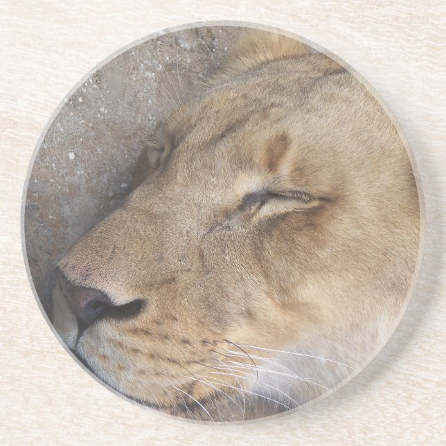 Dessous De Verre En Grès Lion endormie (Devant)