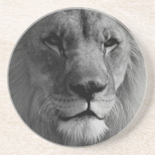 Dessous De Verre En Grès Lion noir et blanc