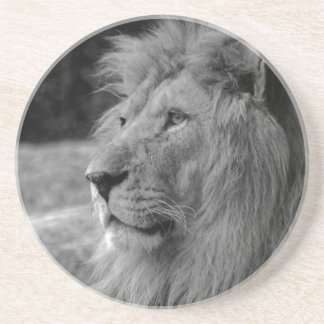 Dessous De Verre En Grès Lion noir et blanc - Animal sauvage