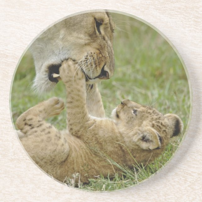 Dessous De Verre En Grès Lionceau Jouant (Devant)