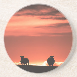 Dessous De Verre En Grès Lofoten Îles Sunset Sheep Nature Photo