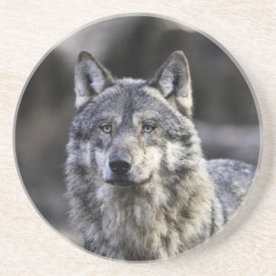 Dessous De Verre En Grès Loup gris