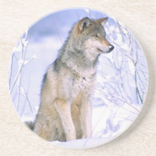 Dessous De Verre En Grès Loup gris assis dans la neige, Canis lupus,