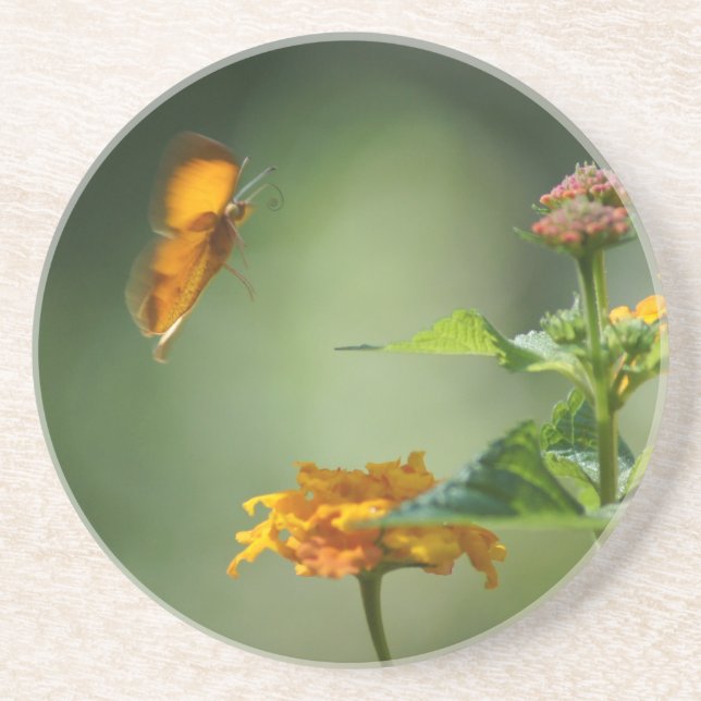 Dessous De Verre En Grès Lumière de l'été (Devant)