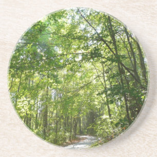 Dessous De Verre En Grès Lumière du soleil sur le chemin en bois au Centenn