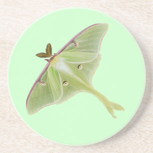Dessous De Verre En Grès Luna Moth