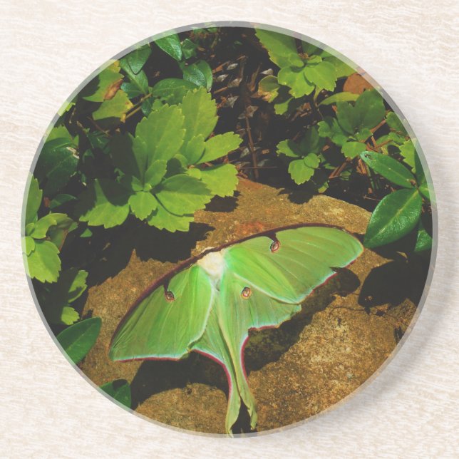 Dessous De Verre En Grès Luna verte géante (Devant)