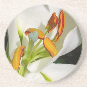 Dessous De Verre En Grès Lys blancs