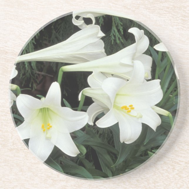 Dessous De Verre En Grès Lys de Pâques (Lilium regale) (Devant)