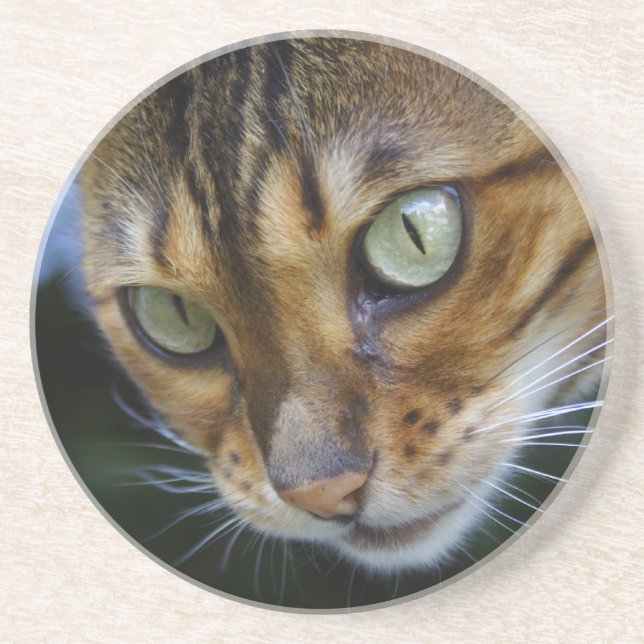 Dessous De Verre En Grès Magnifique chat Bengal (Devant)