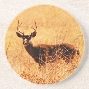 Dessous De Verre En Grès Mâle de Blacktail