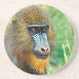 Dessous De Verre En Grès Mandrill 002