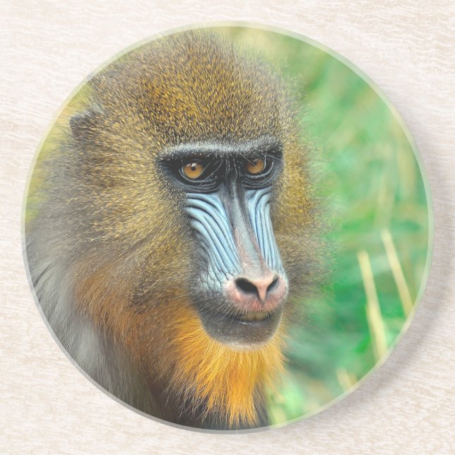 Dessous De Verre En Grès Mandrill 002 (Devant)