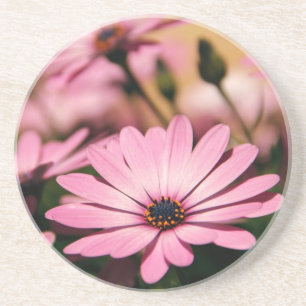 Dessous De Verre En Grès Marguerite africaine violette