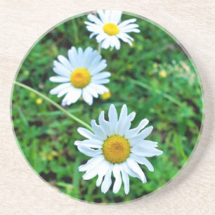 Dessous De Verre En Grès Marguerites oculaires