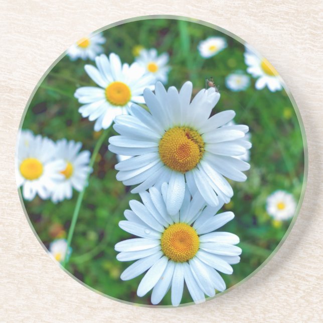 Dessous De Verre En Grès Marguerites oculaires (Devant)