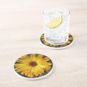 Dessous De Verre En Grès marigold sur le journal