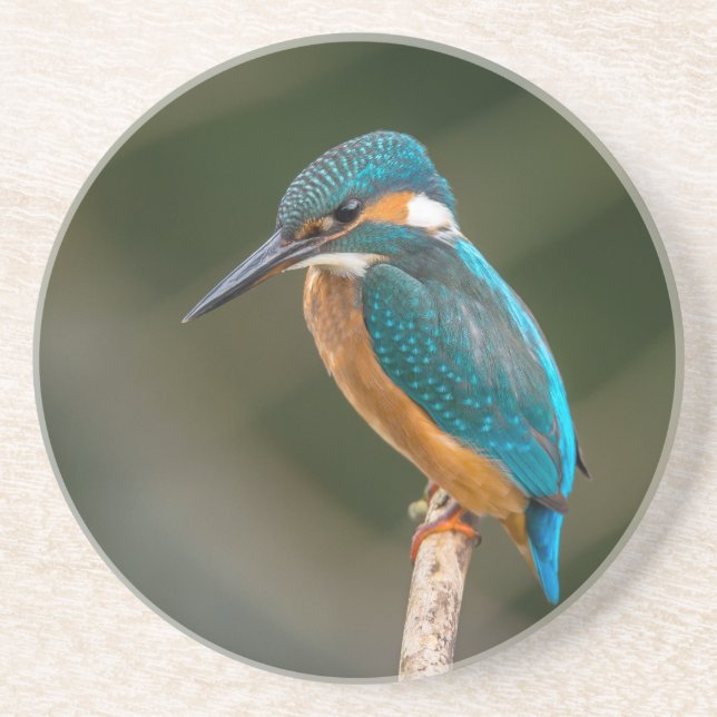 Dessous De Verre En Grès Martin-pêcheur (Devant)