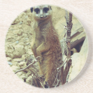 Dessous De Verre En Grès Meerkat