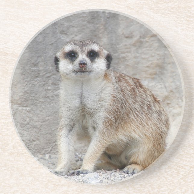 Dessous De Verre En Grès Meerkat 134 (Devant)