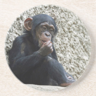 Dessous De Verre En Grès Mer de Chimpané 013
