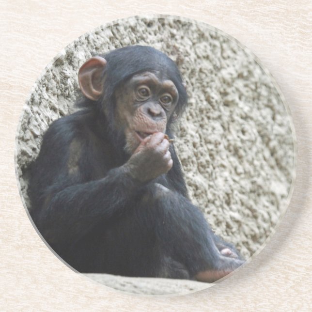Dessous De Verre En Grès Mer de Chimpané 013 (Devant)