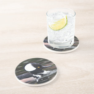 Dessous De Verre En Grès Merganser Merganser Baigné Par