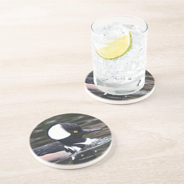 Dessous De Verre En Grès Merganser Merganser Baigné Par (Côté)