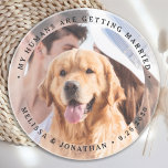 Dessous De Verre En Grès Mes humains se marient Photo de chien Fiançailles<br><div class="desc">Célébrez votre fiançailles et donnez mariage unique chien enregistrer les dates avec cette photo personnalisée, et mariage personnalisé "My Humans Are Getting Married" sauvegarder le dessous de verre de date. Customisez avec vos photos préférées, vos noms et votre date. Ce dessous de verre photo mariage personnalisé est parfait pour les...</div>