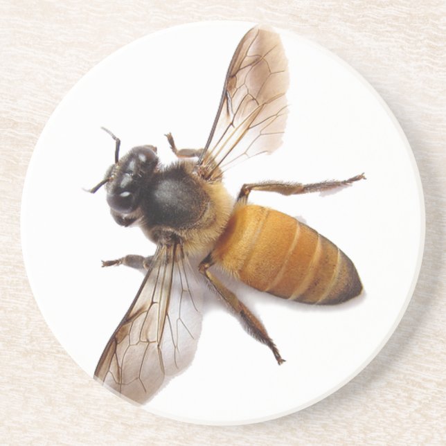 Dessous De Verre En Grès Mignonne abeille mellifère abeille bourdon  (Devant)