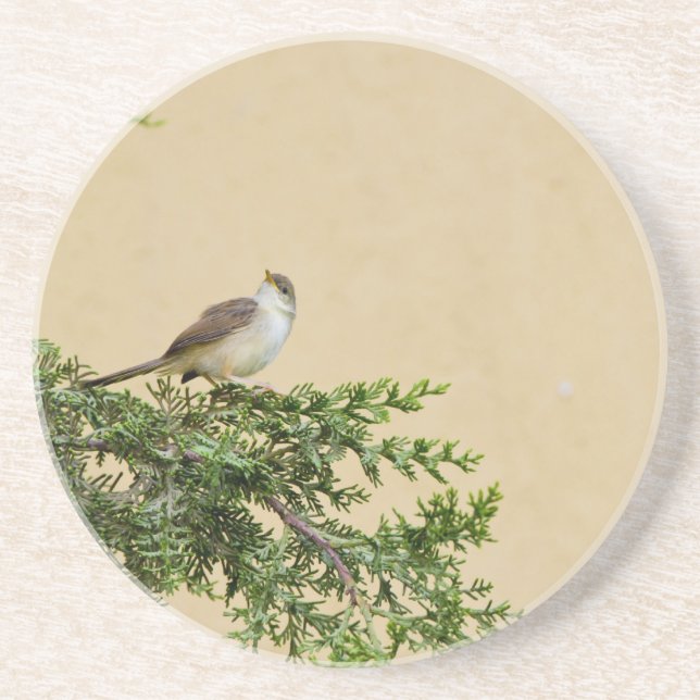 Dessous De Verre En Grès Moineau (Devant)